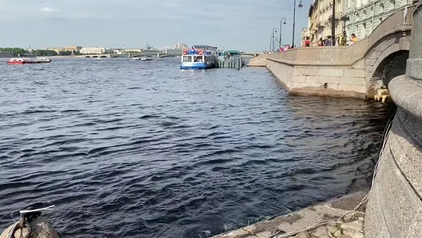 Прощальное видео