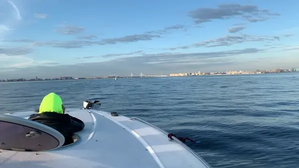 Приветственное видео